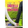 Cik Cinderella dan Encik Tengku